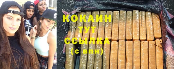 ПСИЛОЦИБИНОВЫЕ ГРИБЫ Бородино