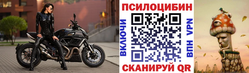 Галлюциногенные грибы Psilocybine cubensis Купить закладки Сорск