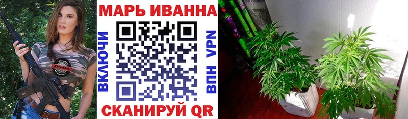 Купить  Сорск  Каннабис OG Kush 
